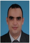 Prof. Dr. Mahmoud Soliman Ahmed Helal